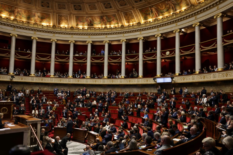 Séance à l'Assemblée nationale, le 11 février 2025 à Paris