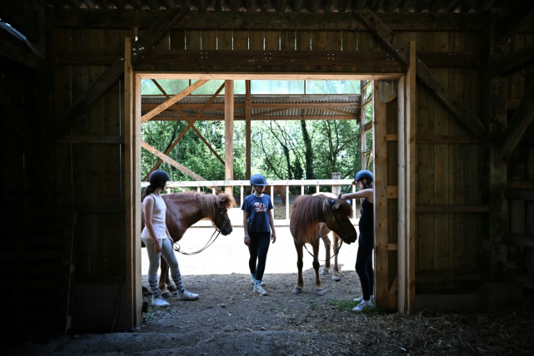 Des enfants s'occupent de poneys dans la ferme équestre de Bois Guilbert, en Seine-Maritime, le 1er juillet 2025