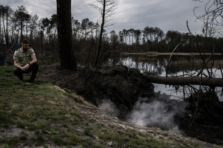 Un agent de l'Office national des forêts examine le 21 mars 2023 près d'Hostens, en Gironde, l'endroit d'où émerge de la fumée, près d'une ancienne veine de lignite où le feu couve toujours dans le sous-sol depuis le gigantesque incendie de l'été 2022