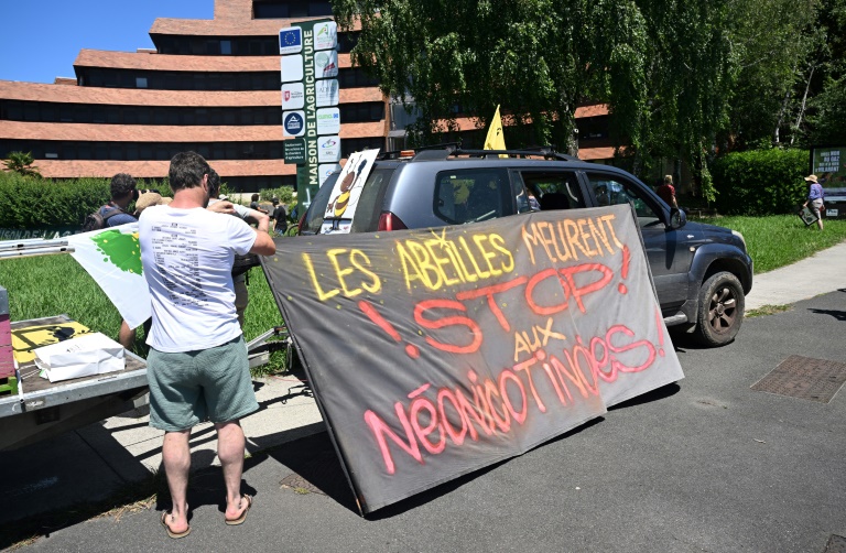 Manifestation contre la loi Duplomb le 28 juin 2025 à Pau