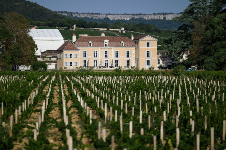 Le Château de Meursault et son vignoble, le 26 août 2025 à Meursault, en Côte d'Or