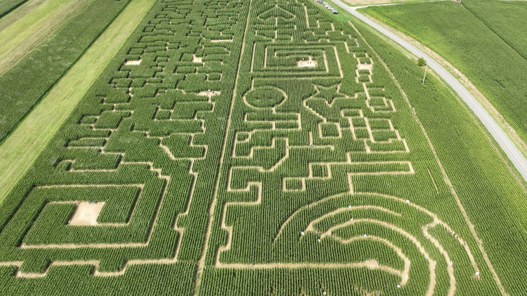 Vue aérienne d'un champ de maïs transformé en labyrinthe à Soultz, dans le Haut-Rhin, le 6 août 2025