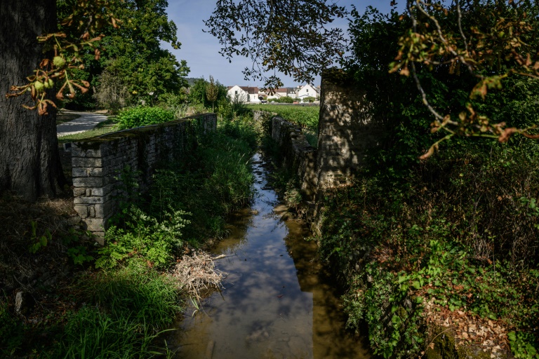 La forêt riveraine du Château de Meursault, le 26 août 2025 à Meursault, en Côte d'Or