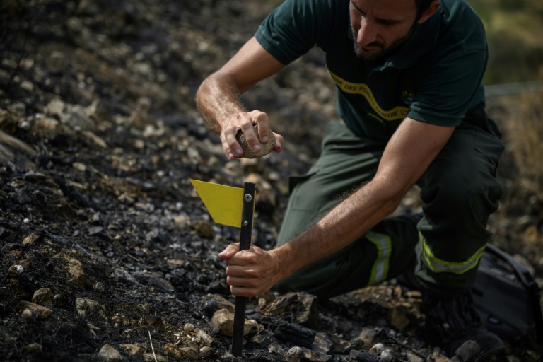 Le technicien forestier de l'ONF Stéphane Paoli plante un marqueur alors qu'il inspecte une zone touchée par un récent incendie de forêt, à Luc-sur-Orbieu, près de Narbonne, le 19 août 2025 dans l'Aude