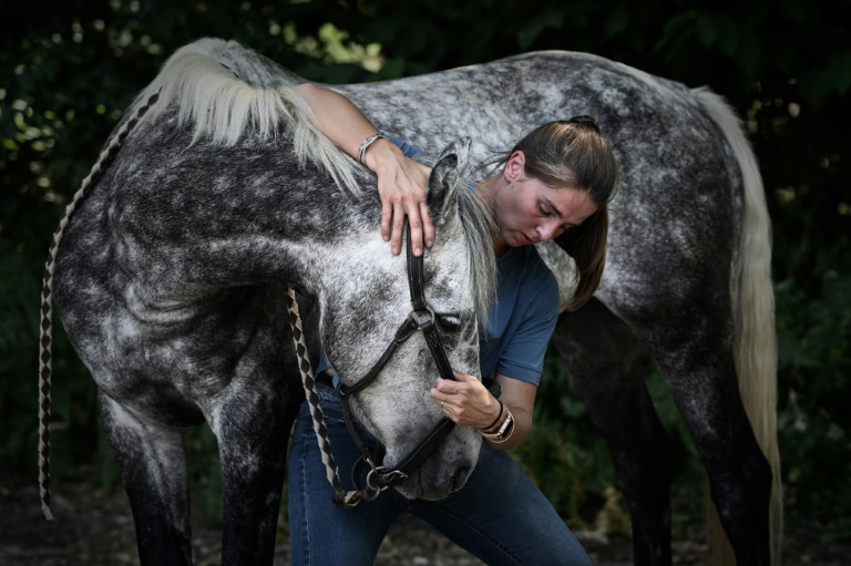 L'ostéopathe Philippine Jean manipule un cheval dans une ferme à Ayguemorte-les-Graves, dans le sud-ouest de la France, le 4 août 2025