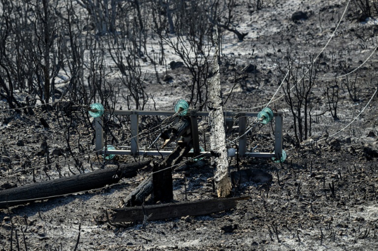 Un pylone électrique à terre dans le paysage calciné après le passage de l'incendie à Coustouge, dans l'Aude, le 8 août 2025