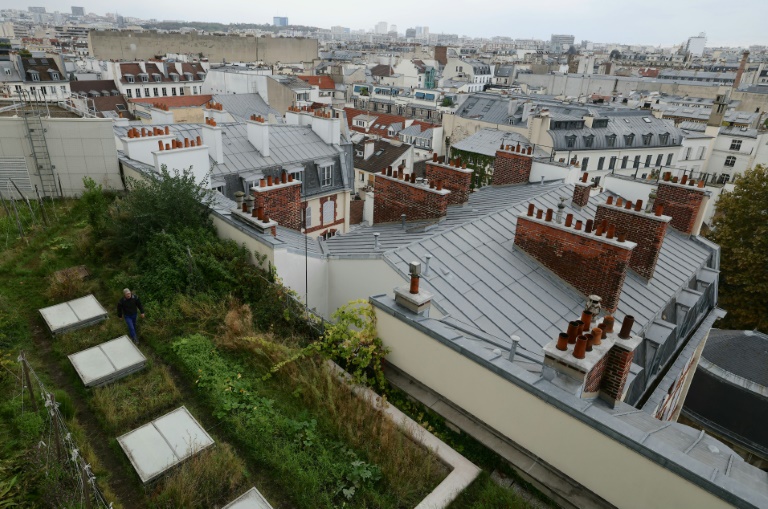 Un potager sur le toit de l'Opéra Bastille géré par la société agricole Topager, le 25 septembre 202 à Paris 