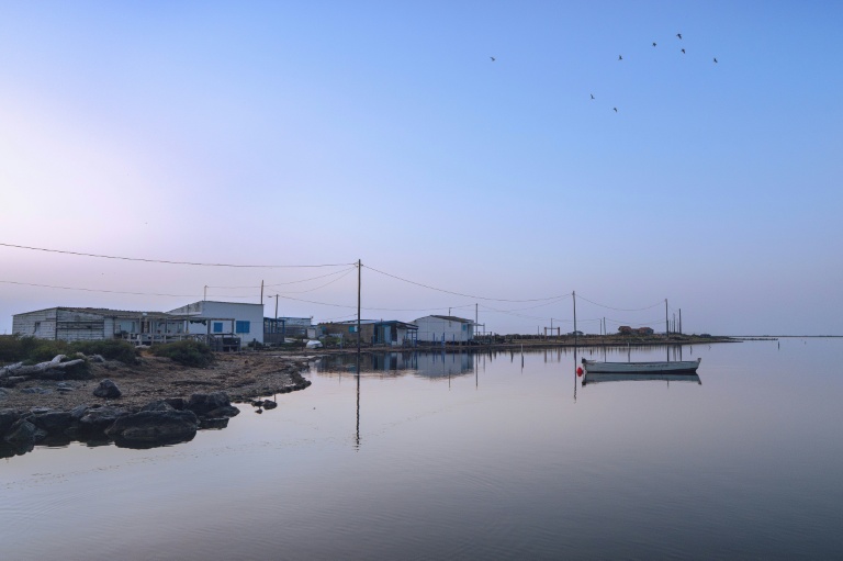Des cabanes de pêcheurs au bord de l'étang de l'Ayrolle, à Gruissan, le 25 juin 2025