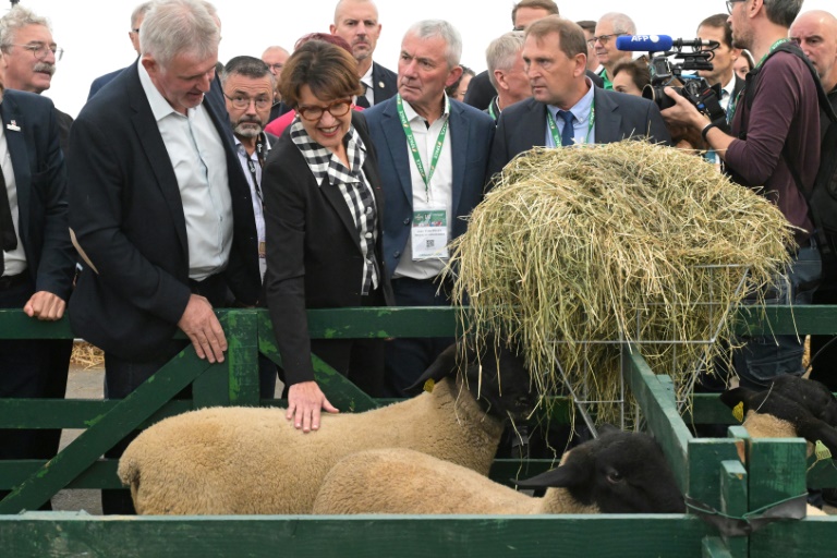 La ministre de l'Agriculture sortante Annie Genevard (c) lors de la visite du salon international de l'élevage (Space) à Rennes, le 16 septembre 2025 en Ille-et-Vilaine