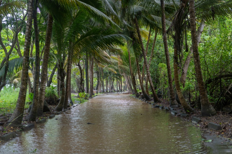 Une route inondée à Viard après le passage de la tempête tropicale Jerry, le 10 octobre 2025 en Guadeloupe
