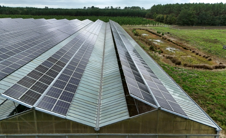Une serre dont le toit est en partie constitué de panneaux photovoltaïques, au Temple, le 3 octobre 2025 en Gironde