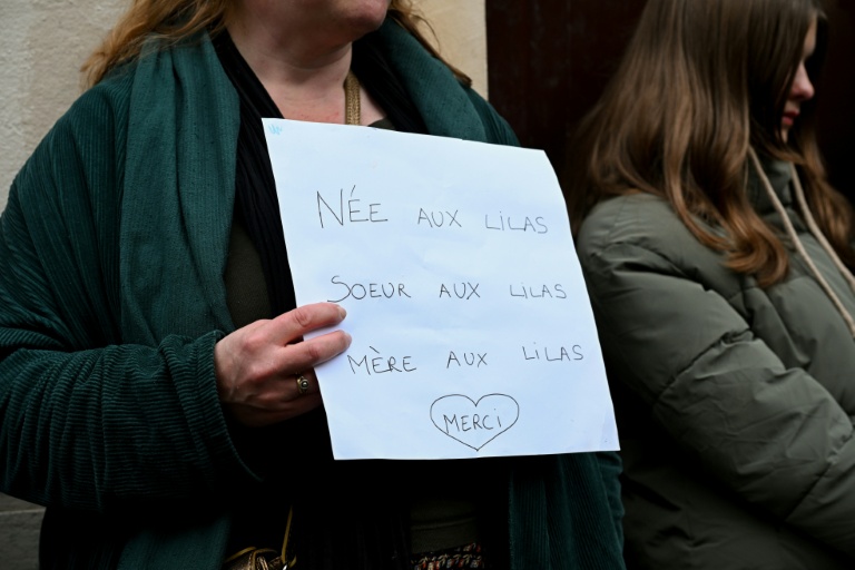 Manifestation contre la fermeture de la maternité des Lilas, en Seine-Saint-Denis, le 30 octobre 2025