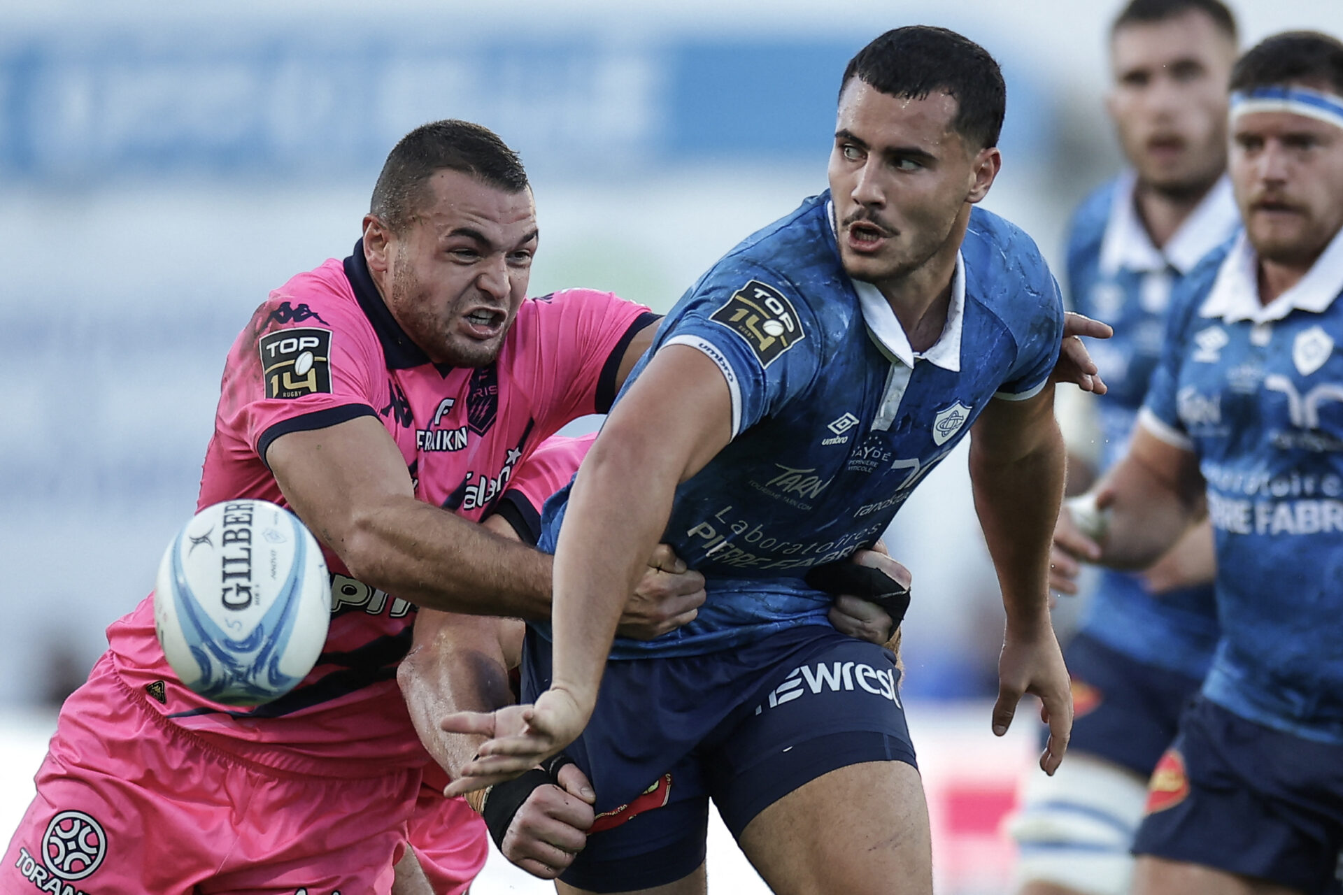 rugby catsres paris stade français top14