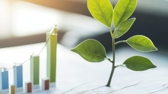 développement durable et de l’écologie positive