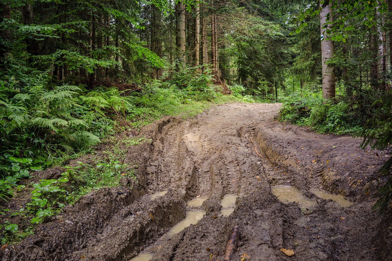 Forêt des Ardennes : le passage des bolides réveille les habitants de Messincourt