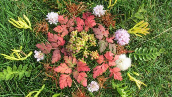 Noël 2025 adopte la tendance végétal