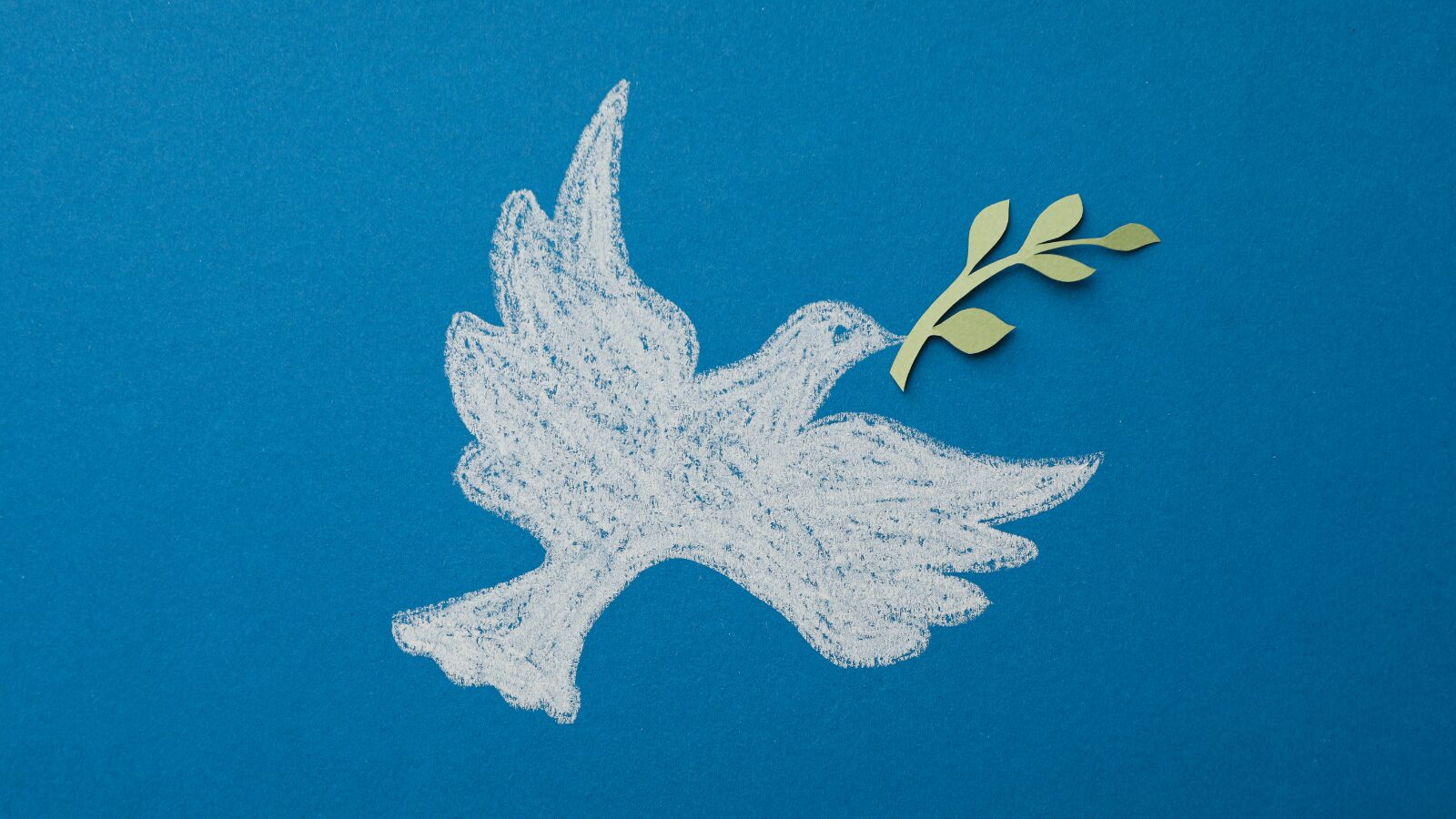 Colombe, symbole de paix