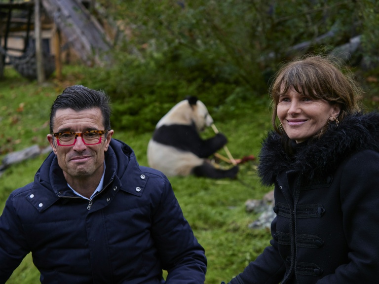 Les directeurs du zoo de Beauval, Rodolphe Delord et Sophie Delord, posent devant le panda mâle Yuan Zi, le 23 novembre 2025 à Saint-Aignan, dans le Loir-et-Cher