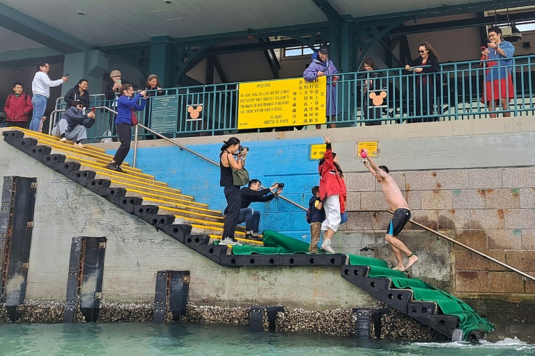 Le Britannique Simon Holliday célèbre son record, battu avec l'Américaine Edie Hu, de natation marathon autour de l'île de Lantau, la plus grande île de Hong Kong, en parcourant 65 km en moins de 21 heures le 21 novembre 2025