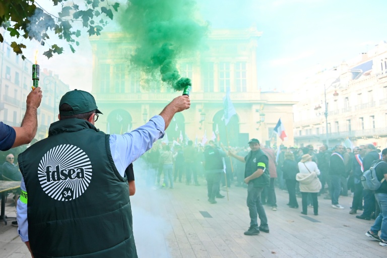 Des viticulteurs manifestent à Béziers samedi 15 novembre