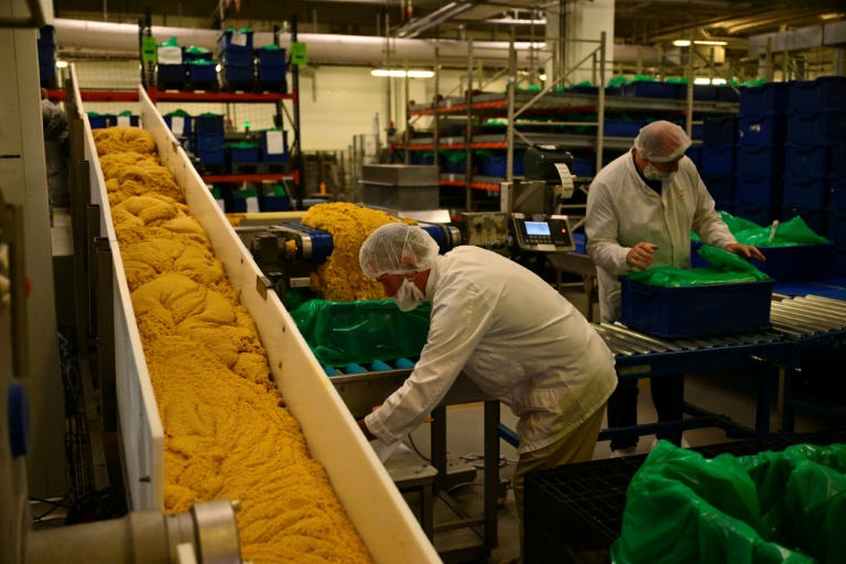 La fabrication de calissons dans l'atelier de production du Roy René à Aix-en-Provence, dans les Bouches-du-Rhône, le 18 novembre 2025