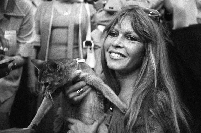 L'actrice française Brigitte Bardot, le 4 juin 1977 à Saint-Tropez