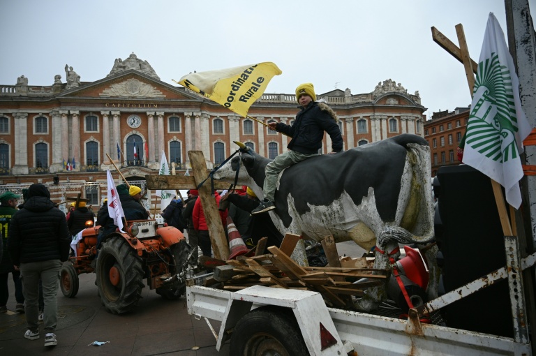 Manifestation à l'appel de l'intersyndicale agricole de Haute-Garonne pour protester contre la gestion de la dermatose bovine par le gouvernement, le 3 janvier 2025 à Toulouse