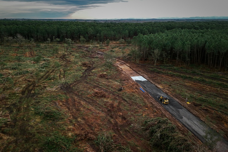 Vue aérienne d'une zone forestière défrichée lors d'opérations contre nématode du pin, près de Seignosse, le 13 janvier 2026 dans les Landes