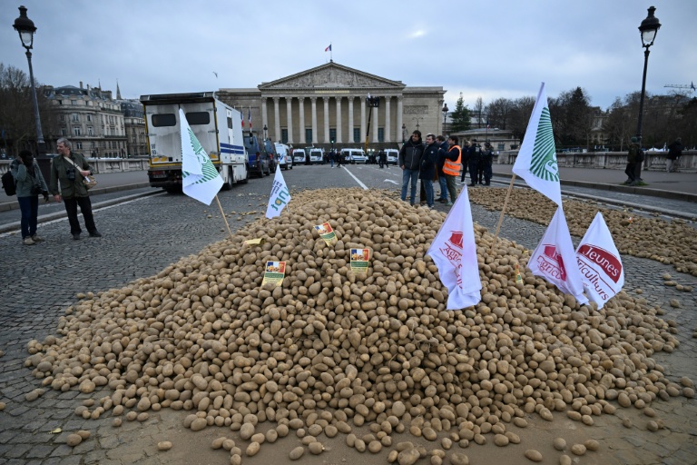 Des pommes de terre déversées lors d'une manifestation d'agriculteurs devant l'Assemblée nationale, le 13 janvier 2026 à Paris