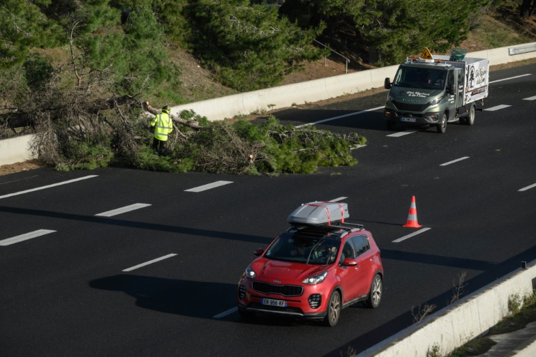 Des arbres obstruent une voie d'une autoroute lors de violentes rafales provoquées par la tempête Nils près de Narbonne (Aude), le 12 février 2026.