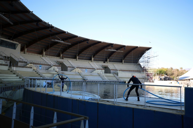 Des employés travaillent à la réparation des fissures du bassin orques du MarineLand à Antibes, le 27 novembre 2025 dans les Alpes-Maritimes