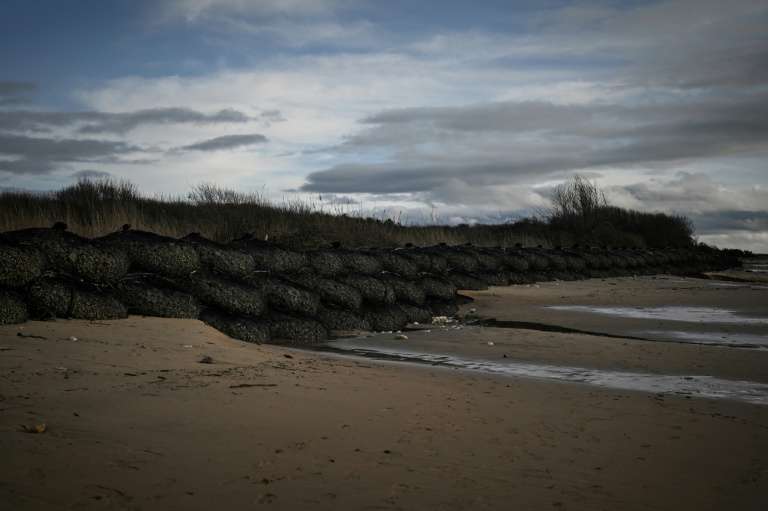Des filets de pierre sont installés contre un cordon dunaire dans le cadre des travaux de consolidation en cours sur l'île d'Oléron pour protéger des bassins d'infiltration face à l'érosion côtière, le 28 janvier 2026 à Le-Grand-Village-Plage, en Charente-Maritime