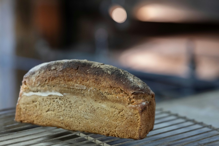 Un pain bio issu de La Ferme de Kerdudal, le 13 février 2026 à Riec-sur-Bélon, dans le Finistère