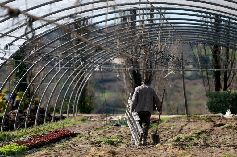 Un homme répare une serre endommagée par les intempéries à Bazas, dans le sud-ouest de la France, le 24 février 2026