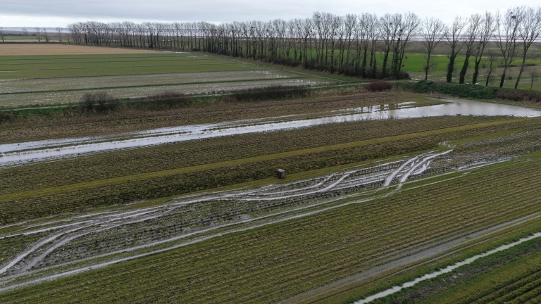 Photo aérienne d'un champ de carottes inondé après les pluies qui ont frappé l'ouest de la France, le 19 février 2026 à Roz-sur-Couesnon, en Ille-et-Vilaine