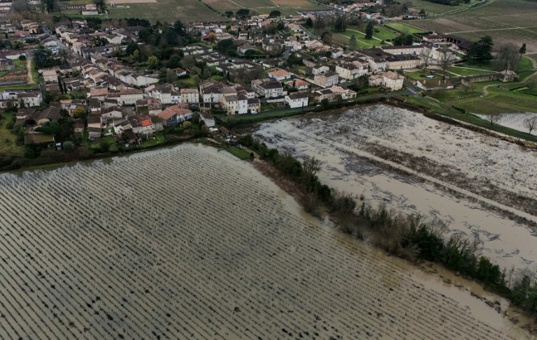 Des vignes inondées le long de la Garonne à Portets près de Bordeaux, le 5 février 2026