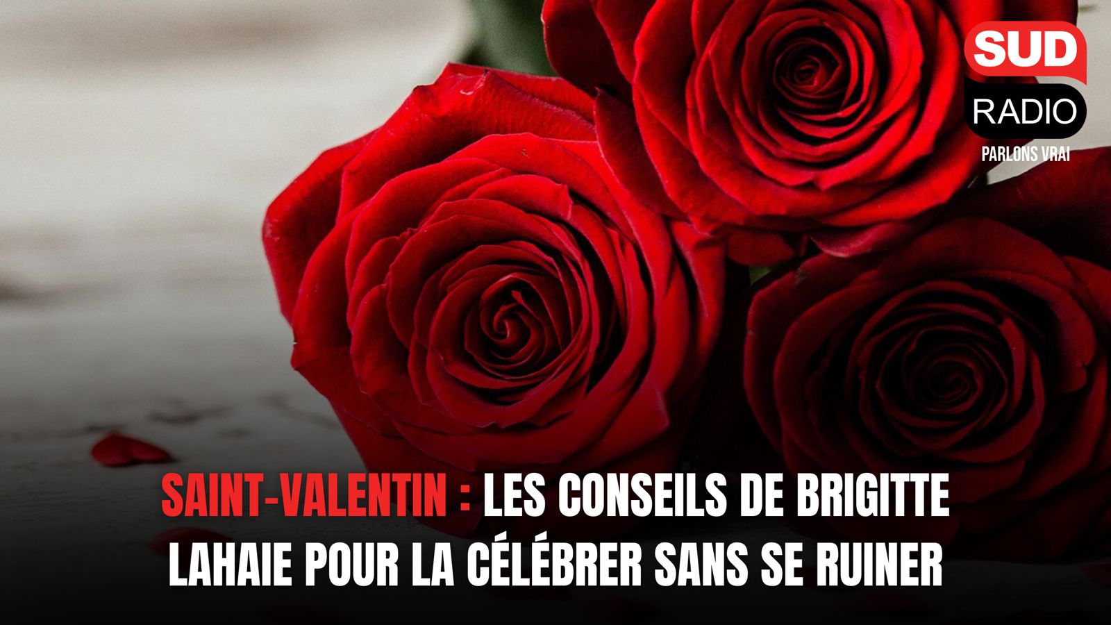 Saint-Valentin : les conseils de Brigitte Lahaie pour la célébrer sans se ruiner