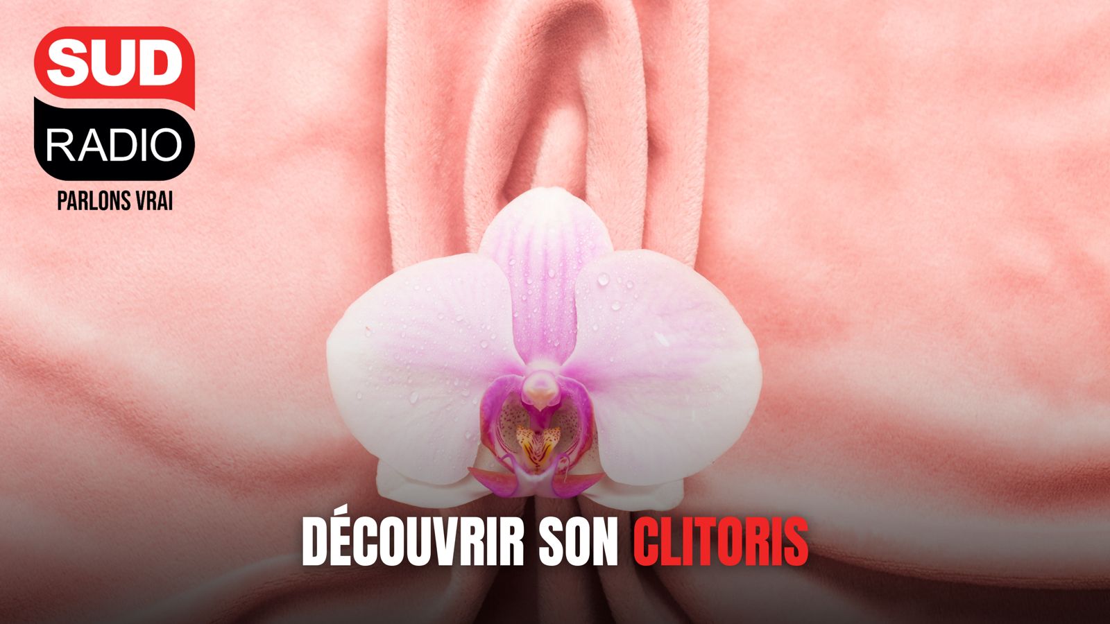 Découvrir son clitoris, les conseils de Brigitte Lahaie