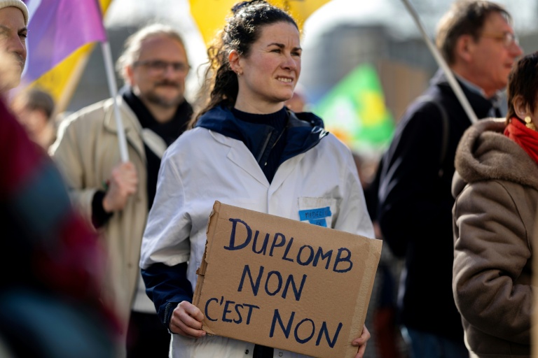Une manifestante tient une pancarte lors d'un rassemblement contre la loi Duplomb, le 7 février 2026 à Brest (Finistère)