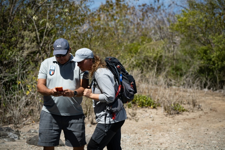 Philippe de Proft (G), garde-littoral, et Marie Robert, de l'Office français de la biodiversité, examinent un serpent sur la colline du Chameau à Terre-de-Haut, aux Saintes, le 18 mars 2026 en Guadeloupe
