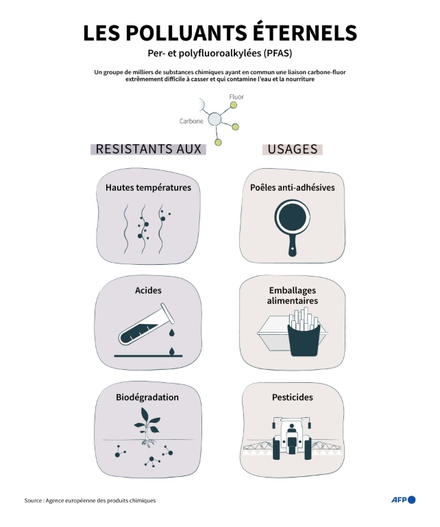 Les polluants éternels : les substances per- et polyfluoroalkylées (PFAS)