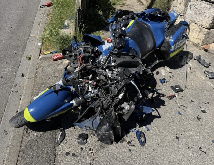 (Instagram : @d_gehant)