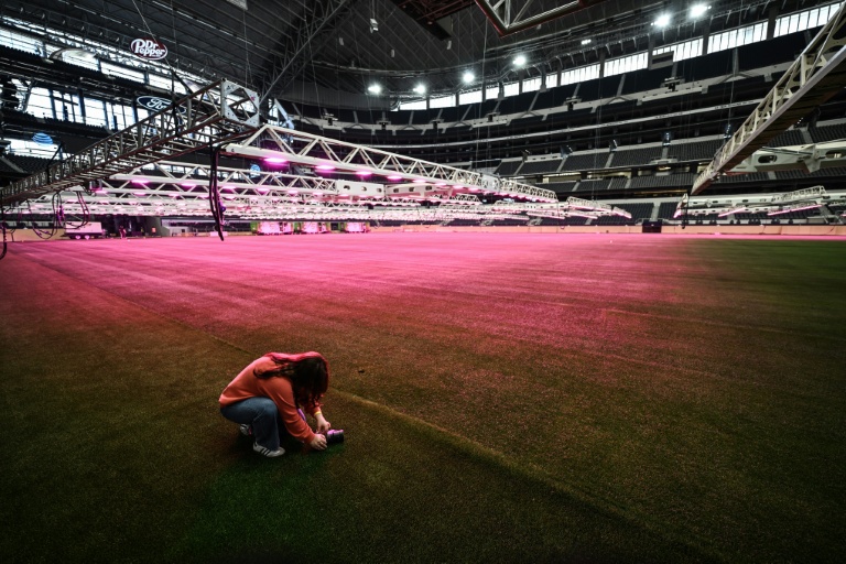 Une employée du AT&T stadium à Arlington, près de Dallas (Texas) vérifie l'état de la pelouse dont la croissance est stimulée par de la lumière violette, le 14 mai 2026