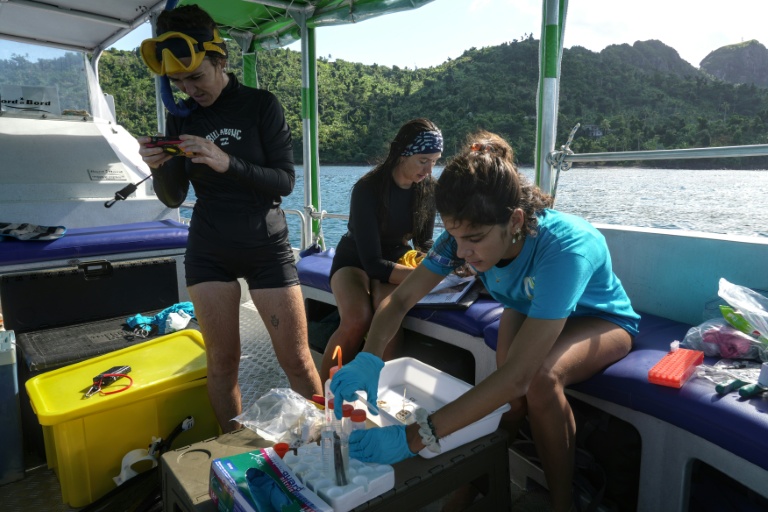 Des scientifiques préparent leur matériel sur un bateau, lors d'une collecte d'ADN environnemental pour la conservation du dugong dans l'océan Indien, au nord de Mayotte, le 22 mai 2026