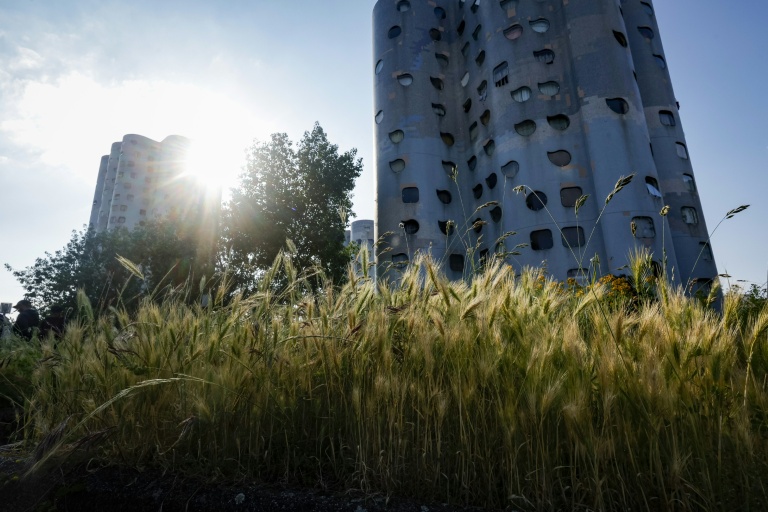 Des tours du quartier Pablo-Picasso à Nanterre, le 6 juin 2024