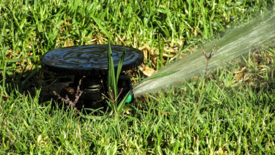 arrosage / Jardin