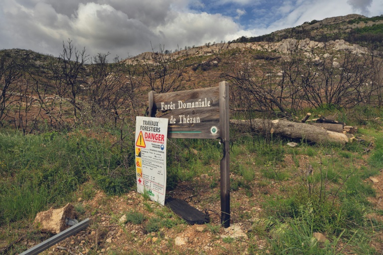 Un panneau indiquant la forêt domaniale de Thézan, ravagée par un incendie en 2025, à Thézan-des-Corbières, le 13 mai 2026 dans l'Aude