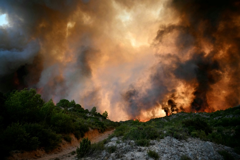 Une forêt ravagée par les flammes près de Fontjoncouse (Aude), le 6 août 2025