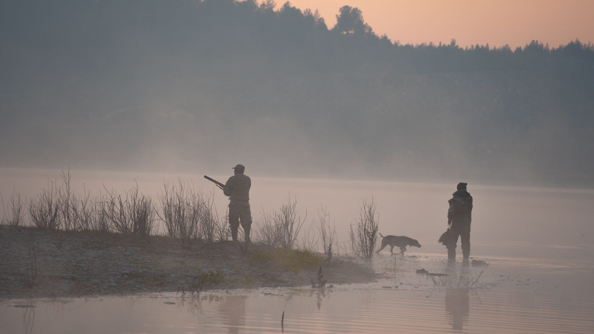 Régis Hargues dénonce la pétition pour l'interdiction de la chasse dans les Landes.