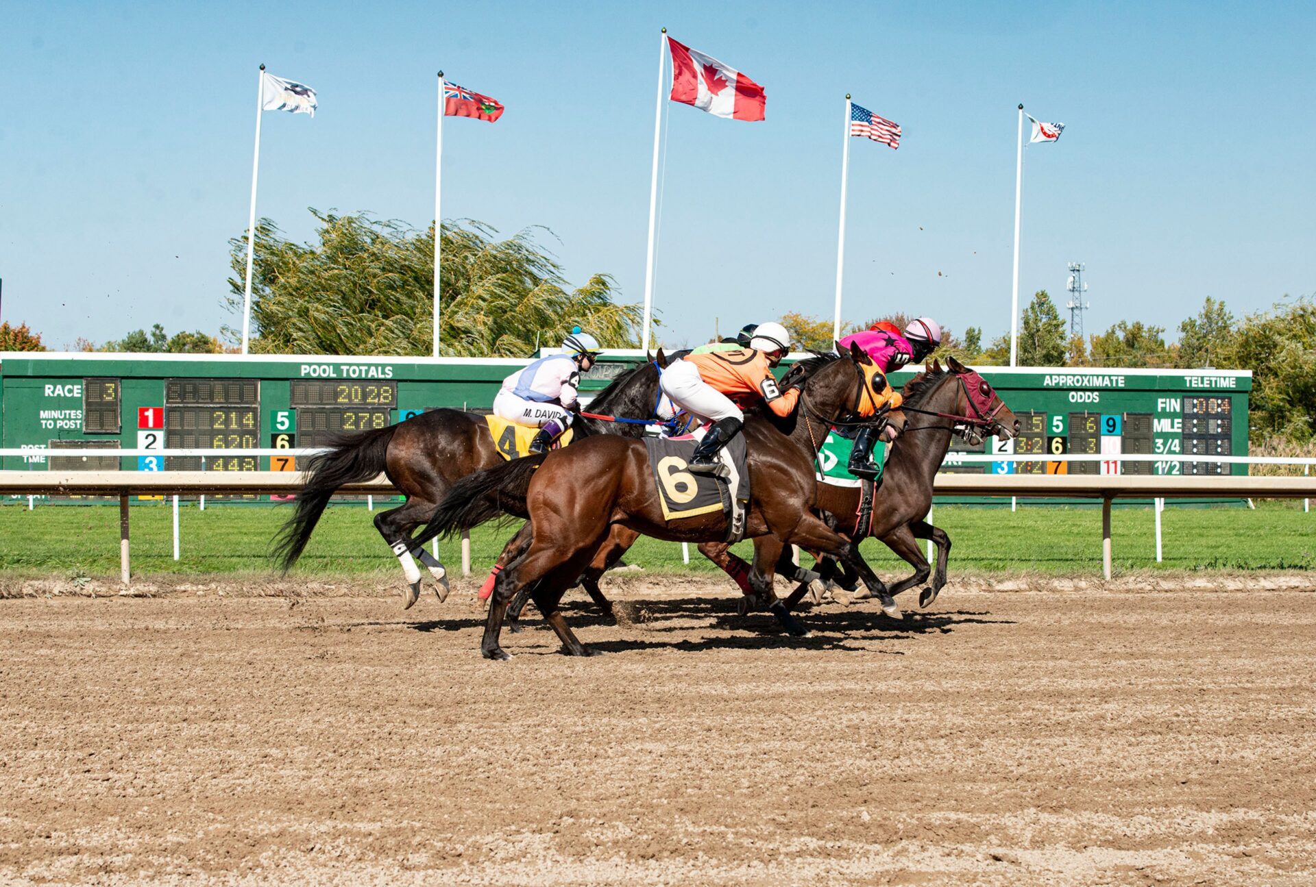 Hippisme